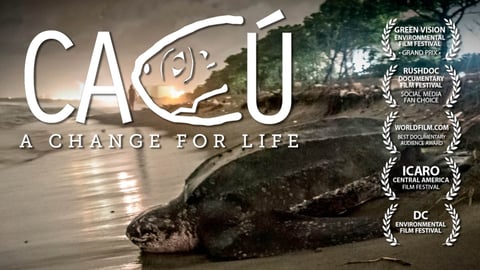 Cacu: A Change for Life cover image