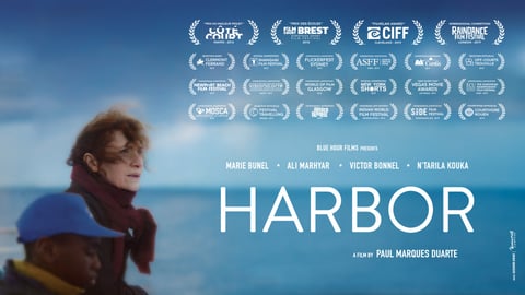 Harbor cover image