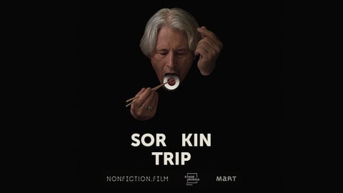 Sorokin Trip cover image