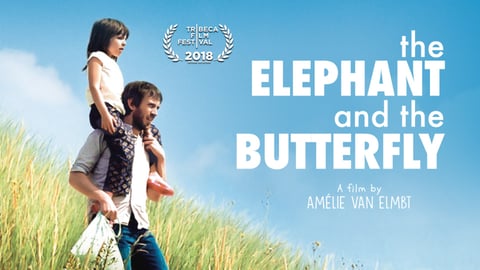 The Elephant and the Butterfly cover image