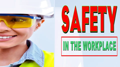 Employee Training: Safety in the Workplace cover image