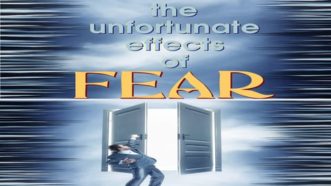 Employee Training: The Effect of Fear cover image