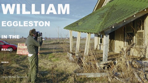 William Eggleston in the Real World cover image