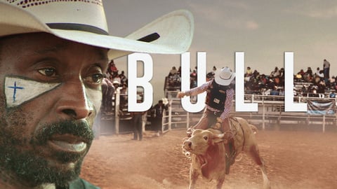 Bull cover image