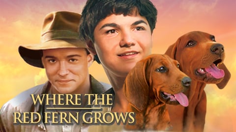 Where the Red Fern Grows cover image