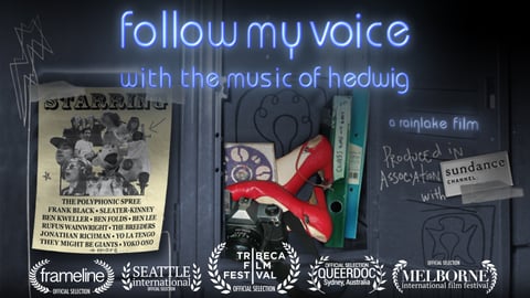 Follow My Voice With the Music of Hedwig cover image