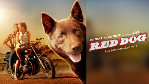 Red Dog cover image