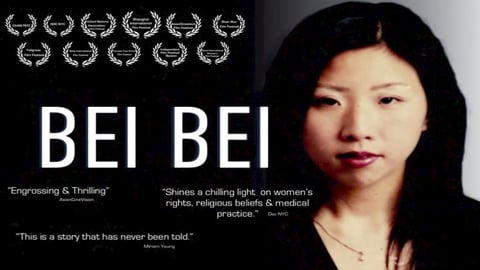 Bei Bei cover image