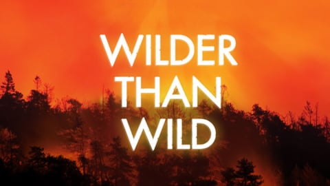 Wilder Than Wild: Fire, Forests, and the Future cover image