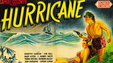 The Hurricane cover image