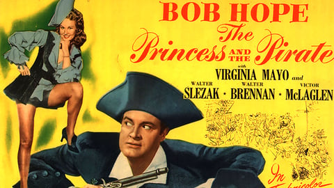 Princess and the Pirate, The cover image