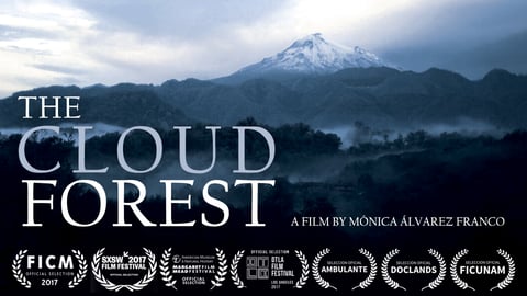 The Cloud Forest cover image