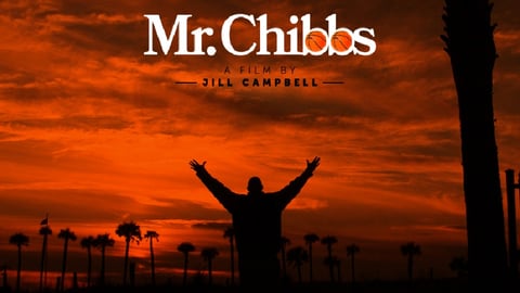 Mr. Chibbs cover image