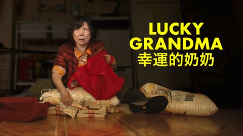 Lucky Grandma cover image