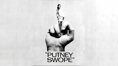 Putney Swope cover image