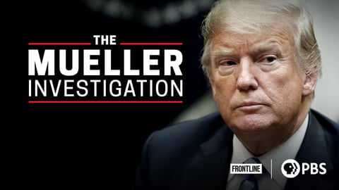The Mueller Investigation cover image