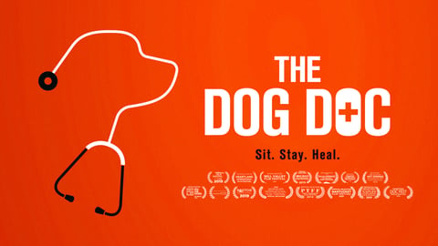 The Dog Doc cover image