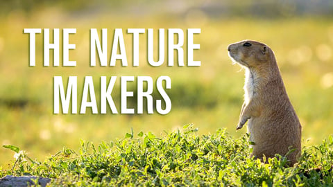 The Nature Makers cover image