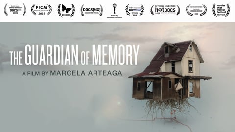 The Guardian of Memory cover image