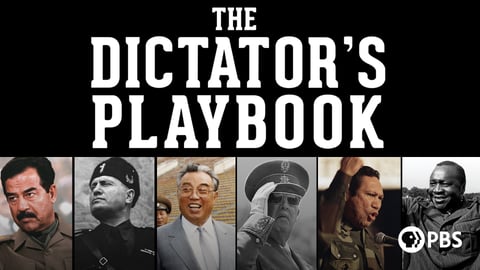 The Dictator's Playbook cover image