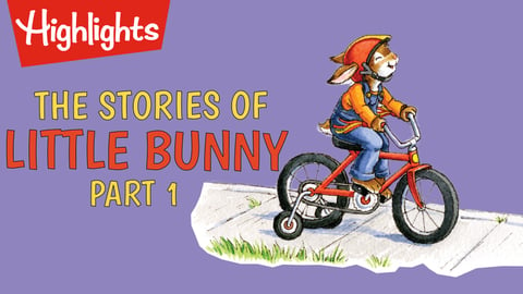 The Stories of Little Bunny Part 1 cover image