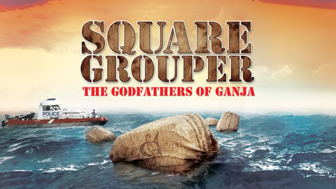 Square Grouper cover image