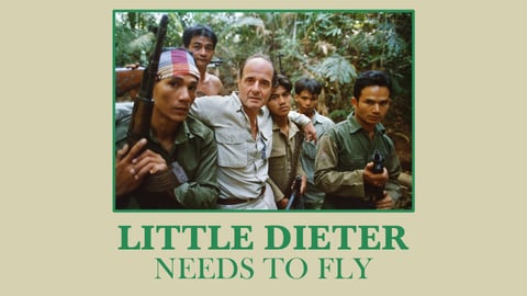 Little Dieter Needs to Fly cover image