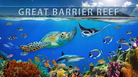 Great Barrier Reef 4K cover image