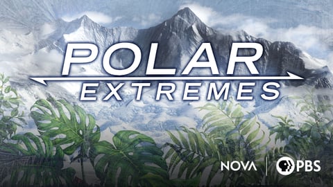 Polar Extremes cover image