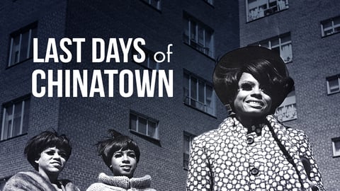 Last Days of Chinatown cover image