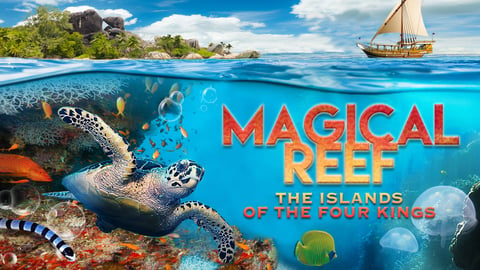 Magical Reef: The Islands of the Four Kings cover image