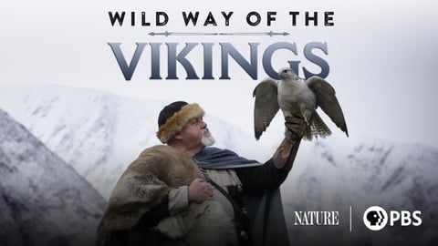 Wild Way of the Vikings cover image