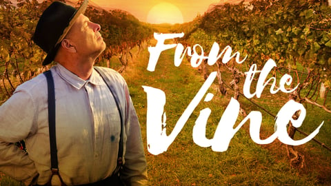 From the Vine cover image
