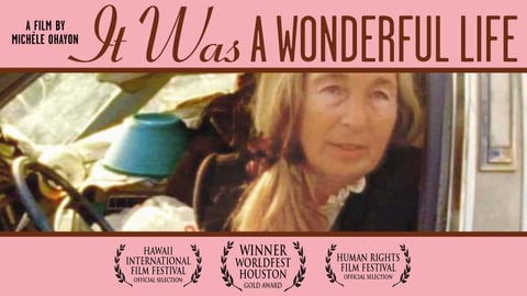 It Was a Wonderful Life cover image