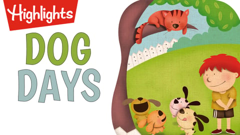 Dog Days cover image