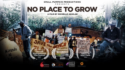 No Place To Grow cover image