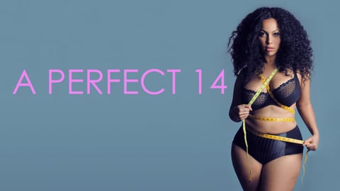 Perfect 14 cover image