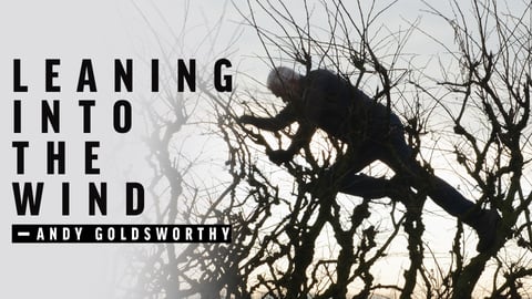 Leaning Into The Wind - Andy Goldsworthy cover image