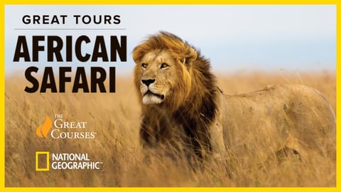 The Great Tours: African Safari cover image