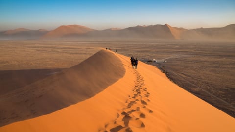 Desert Safaris cover image