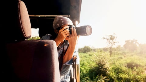 Photographic Safaris cover image