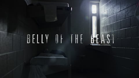 Belly of the Beast cover image
