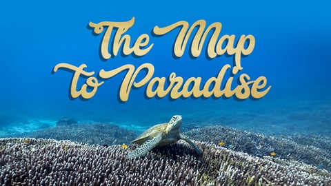The Map To Paradise cover image