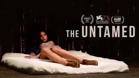 The Untamed cover image