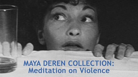 Meditation on Violence cover image