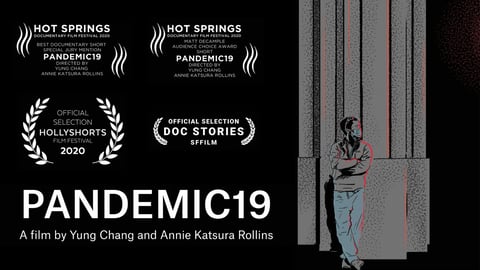 Pandemic19 cover image