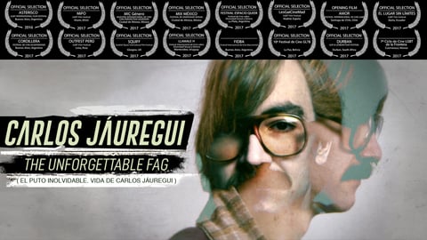Carlos Jáuregui: The Unforgettable Fag cover image