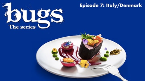 Bugs: The Series. Episode 7, Italy/Denmark cover image