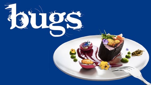 Bugs cover image