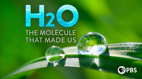 H2O: The Molecule That Made Us cover image